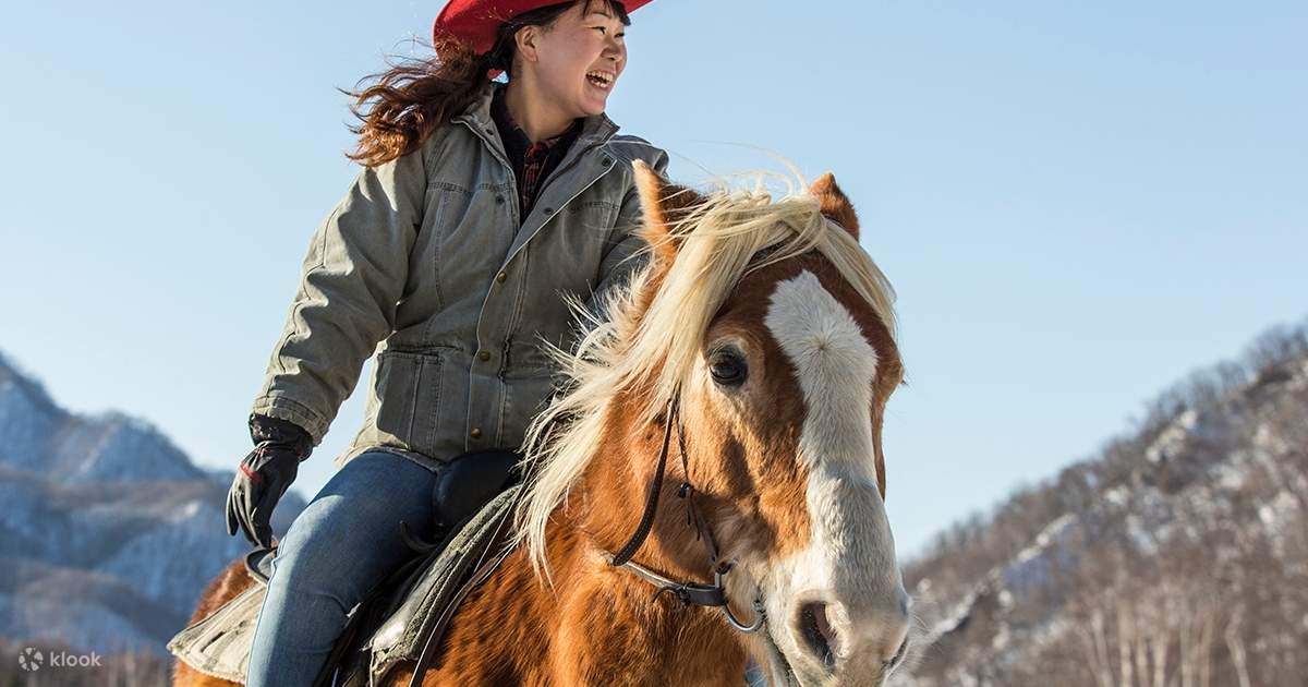 Winter Horseback Riding In Sapporo Klook